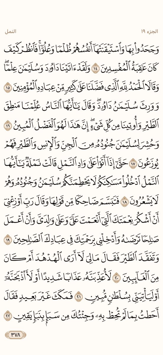 AlMosahf tweet picture