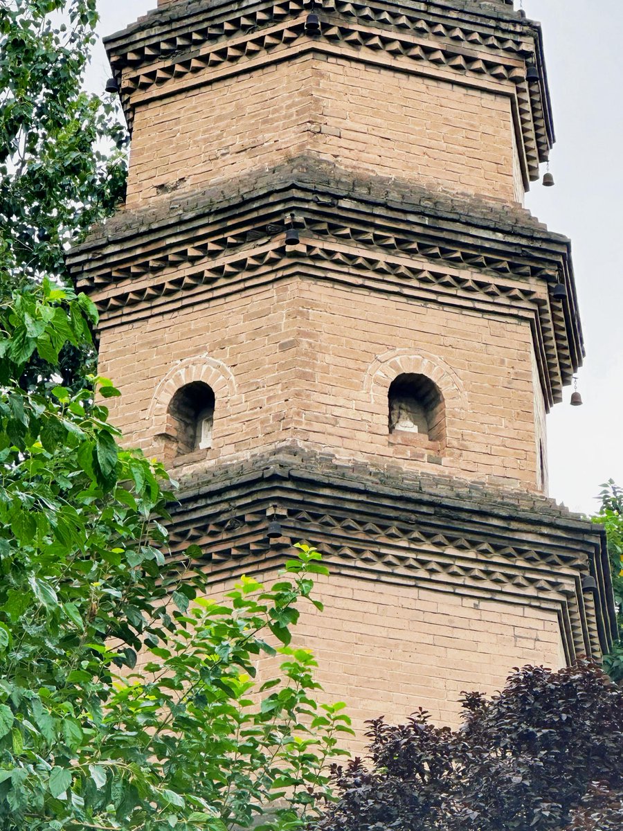 TannerRaypbsr's tweet photo. Beneath the cracked pagoda, a lonely locust tree stands tall, its branches whispering of old stories. https://t.co/hO0vbUowz0