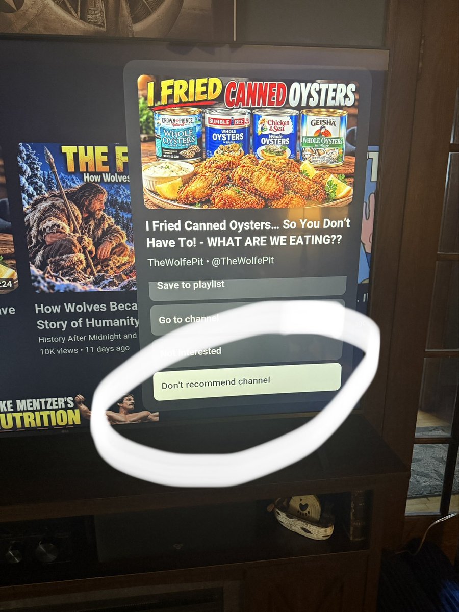 TerryWolfz's tweet photo. Hi @youtube what the fuck does this button actually do? Because it sure doesn't seem to do a fucking thing. https://t.co/3XtHI4MhMa