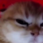 Photo by ‍ ‍ ‍ ‍ ‍ ‍ ‧₊˚ 𝒍𝒖𝒏𝒆𝒍𝒍𝒂 ﹗ (@SMARTESTTODAY)
