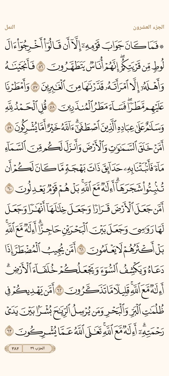 AlMosahf's tweet photo. ورد الأربعاء https://t.co/VDDiZTISSq