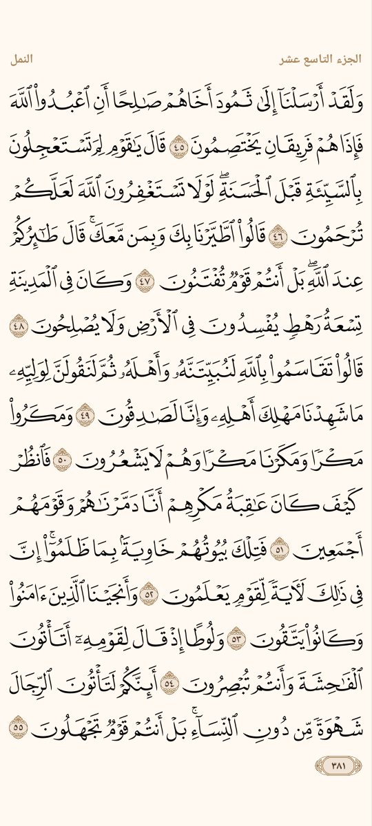 AlMosahf's tweet photo. ورد الأربعاء https://t.co/VDDiZTISSq