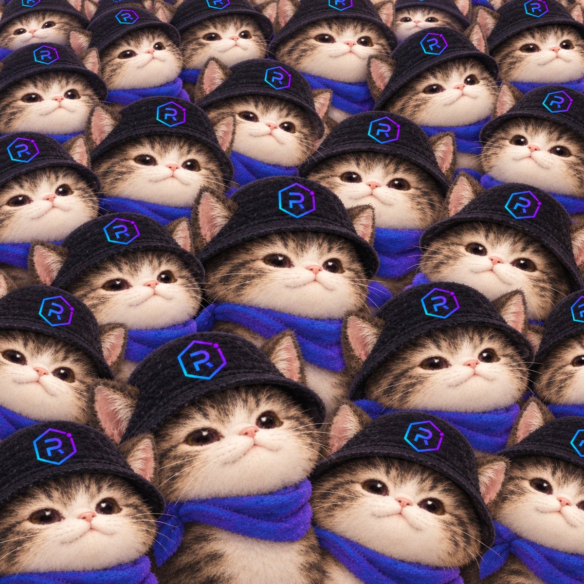 RaycatSF tweet picture