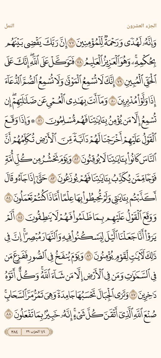 AlMosahf's tweet photo. ورد الخميس https://t.co/Gika8CMwL9