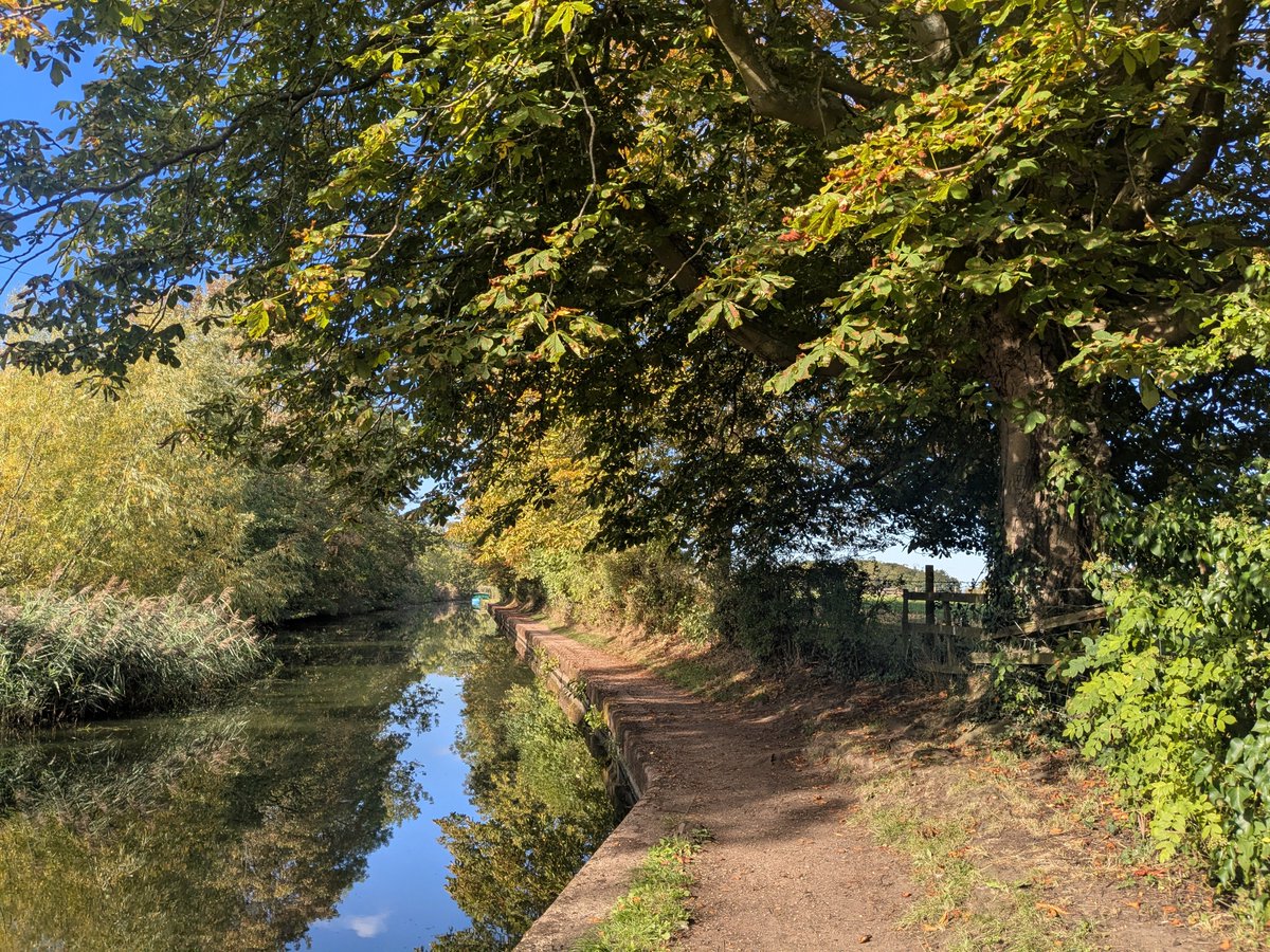 clairevhill's tweet photo. Lovely walk today #Knowle #canal https://t.co/8WrTJ60eat