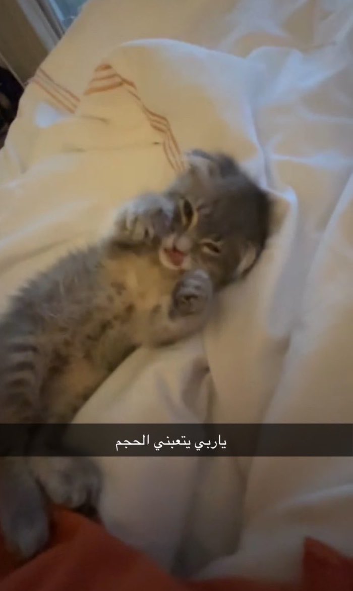 dxxii_10's tweet photo. @TheMidnightrx اخخخخ شلوووووون https://t.co/ySvPCdLrXx