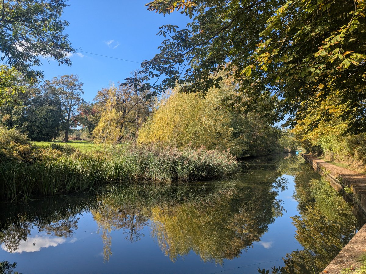 clairevhill's tweet photo. Lovely walk today #Knowle #canal https://t.co/8WrTJ60eat