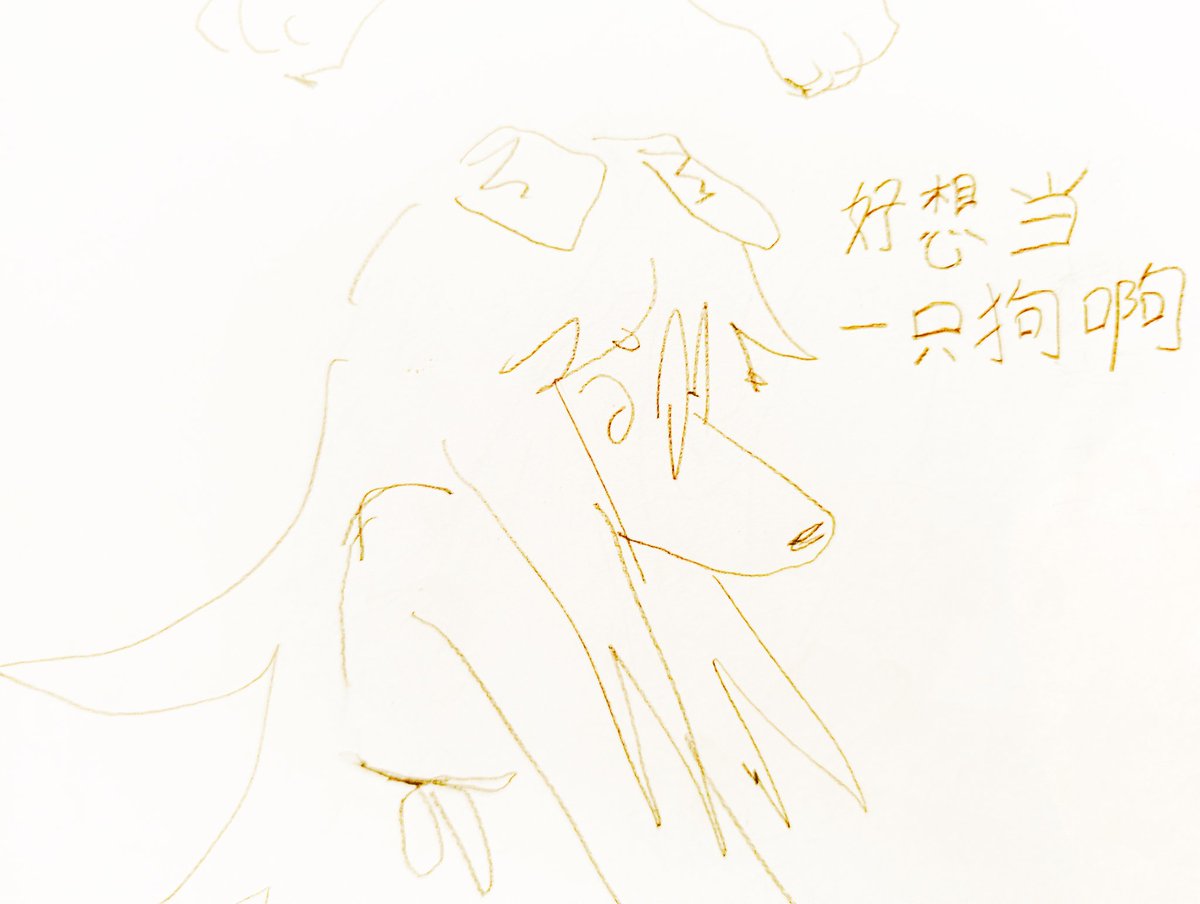DevTheFox's tweet photo. https://t.co/loZwlozx0d