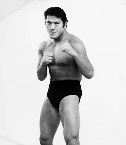 ReviewerRandom's tweet photo. Recordatorio de que la "cara rara" de Joey, es una referencia a Antonio Inoki. https://t.co/aHGl6YSPCZ
