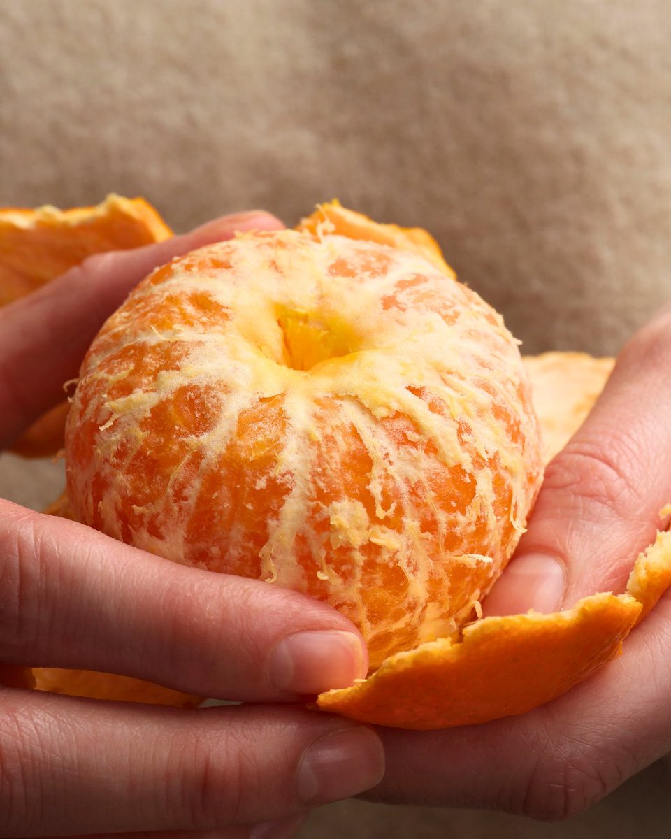 FruitsfromChile's tweet photo. Crisp autumn air, changing foliage, and a cozy blanket equal a fun fall picnic. Add some Chilean mandarins and make it even better. Easy to peel, sweet Chilean mandarins are a simple addition to any autumn spread.🍊 https://t.co/FtQAbq3LjD
