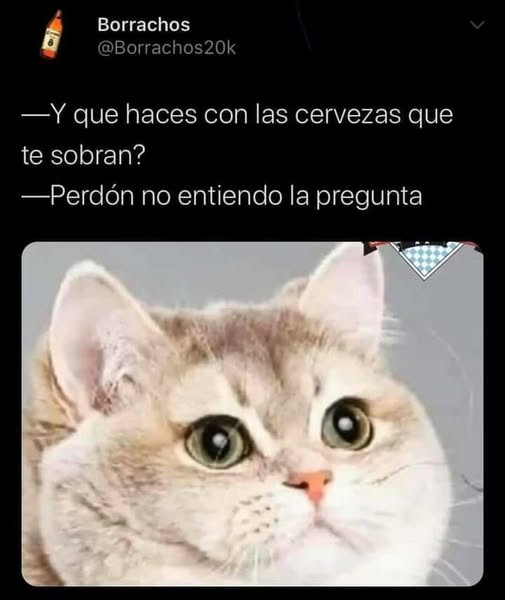 IsaacPradelLe's tweet photo. ¡¡CIERTO!! ¡¡YO DIRÍA LO MISMITO!! ... yo solo sé que también soy mucho de ver porno, masturbarme, alcoholizarme y de consumir psicotrópicos y drogaína...: (link: https://t.co/o7NxBAVscS) https://t.co/ujIZLjDjDt