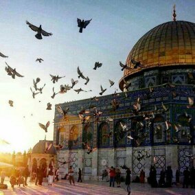husrevdayi's tweet photo. 🇹🇷Kudüs Emanetimizdir zamanı geldiğinde geri alacağız🇵🇸
#JerusalemOurTrust 
#FreePalestine
#KudüsKutsalımdır 
#KudüseSahipÇık 
#Israel_Terrorist_State https://t.co/8j6WFPdSju