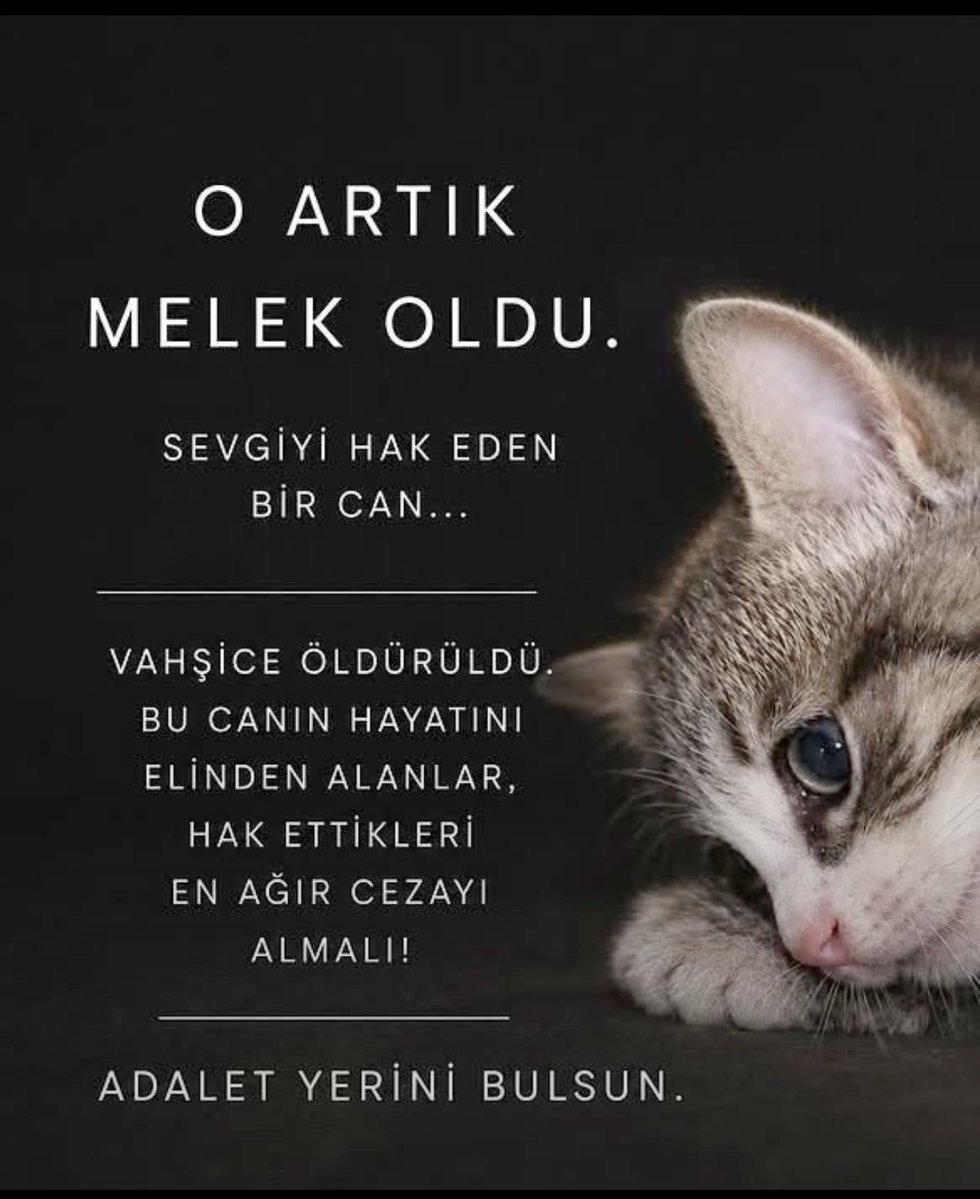 karakedisafir's tweet photo. Öyle psikopatların eline düştün ki masumiyete, iyiye, güzele nefret dolular. Birbirlerine güç gösterisi yapacaklar diye sana yetti güçleri çünkü bunlar gerçekte ödlek seni ve kardeşlerini öyle bir yere götürdüler ki acı feryatlarını kimse duyamadı. Hep yanındayız.
MİNİĞİ UNUTMA https://t.co/bI0dFE9uXQ