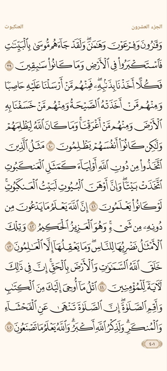 AlMosahf's tweet photo. ورد السبت https://t.co/TkkfQLSNkx