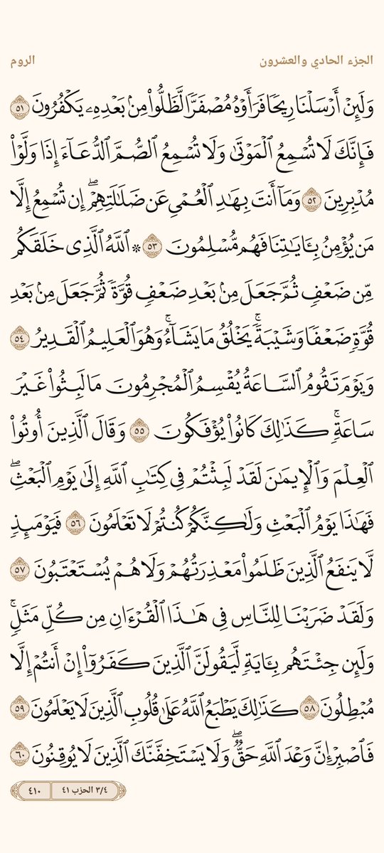 AlMosahf's tweet photo. ورد الأربعاء https://t.co/fyBHc2i4DR