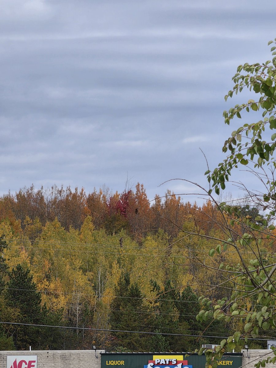 diane6104's tweet photo. Fall colors @PureMichigan @UpperPeninsula https://t.co/T7u1xNoiVu
