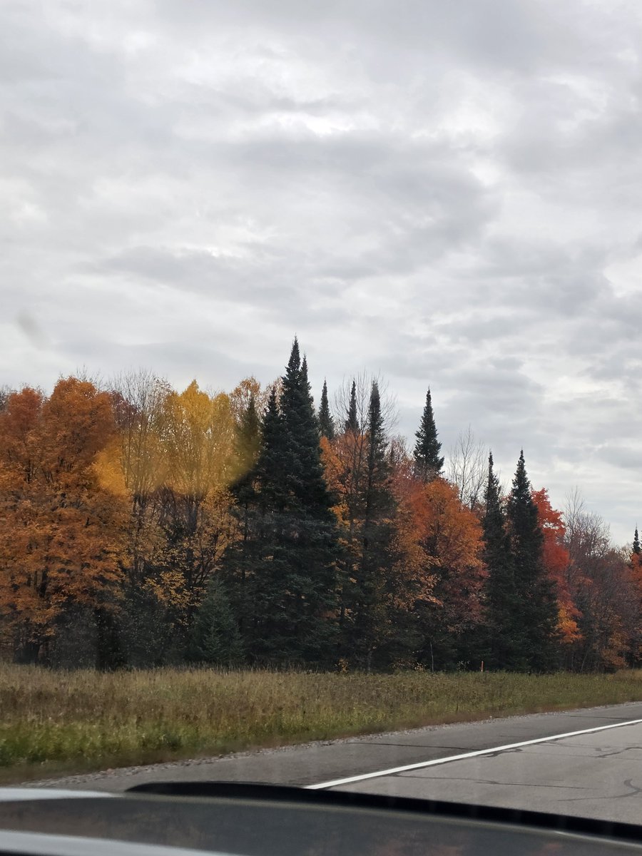diane6104's tweet photo. Fall colors @PureMichigan @UpperPeninsula https://t.co/T7u1xNoiVu