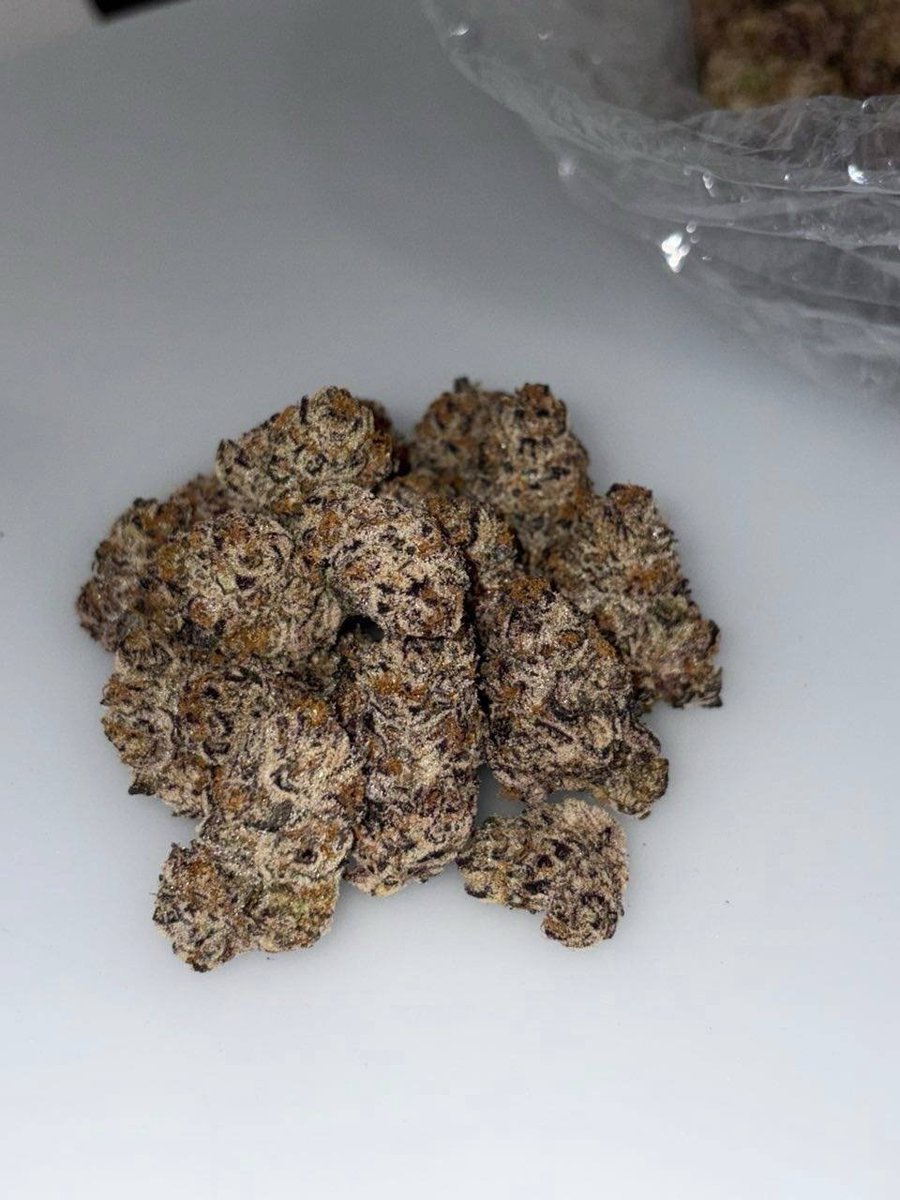STONERS2027's tweet photo. Touchdown $600 a pound bag lmk if you need 

📱https://t.co/ZG6HoEGeW3  

📱 https://t.co/BUz6U7b395

#cannabis #strain #flower #budshots #weedculture #Texas #Tx #cbd #thc #worldwide https://t.co/dhlXgcIabd