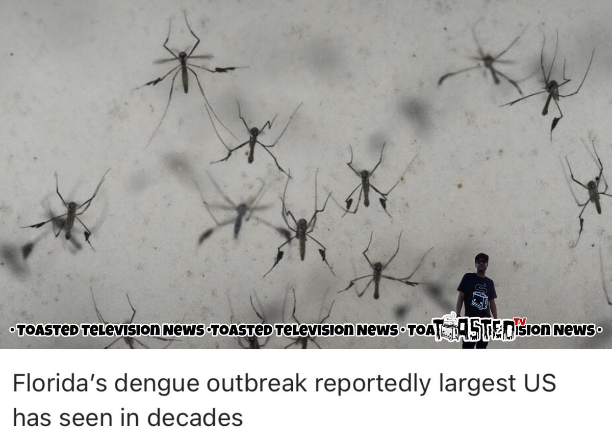 ToastedTvNews's tweet photo. Florida has reported 252 dengue cases this year, including 223 locally spread cases in Hillsborough County.

Officials are urging residents to avoid mosquito bites and remove standing water.

💬 Drop your thoughts below

#Florida #Dengue #HealthNews #ExplorePage #FYP https://t.co/pjwVe4d7tZ