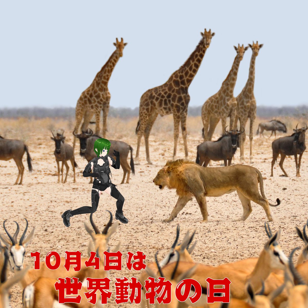 minou0401sawa's tweet photo. おはようございます
今日は『世界動物の日』です
動物の守護聖人であるアッシジのフランチェスコ聖名祝日です🐾

グッビオで悪さをした狼を改心させ、その説教は鳥をも魅了したと言われ、現在も「動物の祝福」ではペットや家畜を協会に連れて儀式がおこなわれます

#おはようVtuber　#今日は何の日 https://t.co/RymO3KKRP0