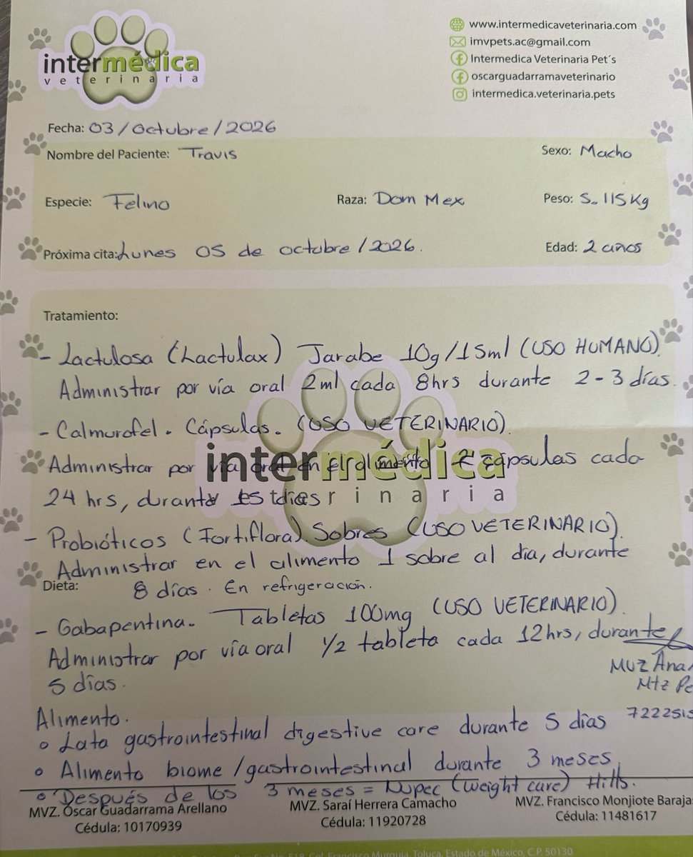 ivanadtorres's tweet photo. Amigos mi gatito se puso mal y ocupamos sacarle varios análisis, placas, ultrasonidos, medicamentos
me es difícil costear todo ahora, si me pudieran ayudar con lo que quieran, incluso 10 pesos se los agradecería mucho
Número de tarjeta: 4152314404170659
Ivana Daniela Torres
BBVA https://t.co/GwMOvU0VKx