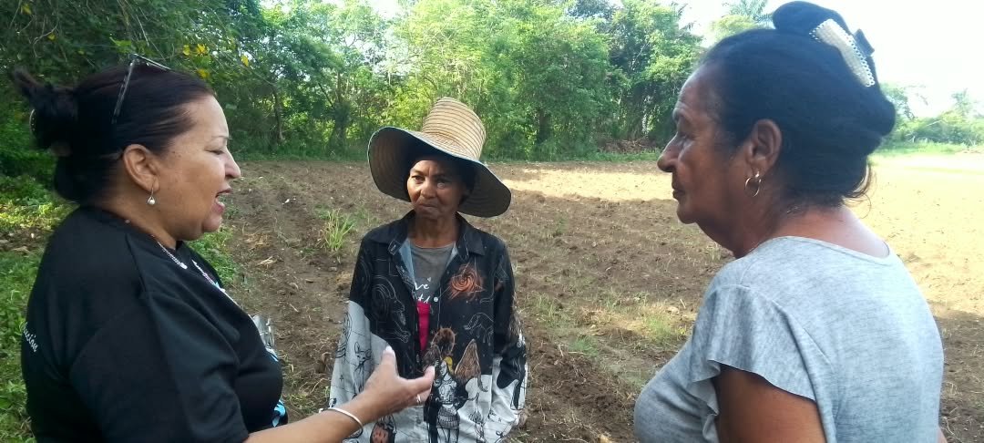 TeresaBoue's tweet photo. En el sector agropecuario, las #MujeresEnRevolución son parte de ese ejército invencible que hacen de la producción de alimentos, la razón de sus vidas. Para ellas las felicitaciones desde la @FMC_Cuba en especial para Elpidia y Yanet,♀️ de vanguardia que visitamos hoy. https://t.co/JNbmO5USU9