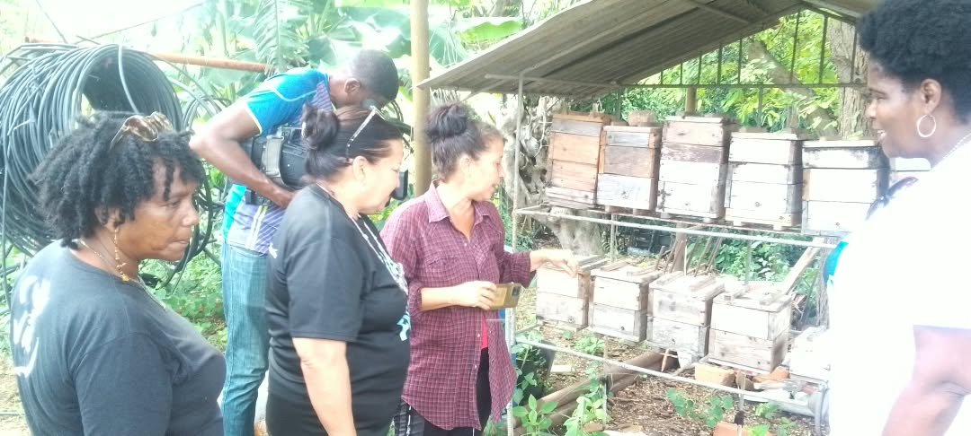 TeresaBoue's tweet photo. En el sector agropecuario, las #MujeresEnRevolución son parte de ese ejército invencible que hacen de la producción de alimentos, la razón de sus vidas. Para ellas las felicitaciones desde la @FMC_Cuba en especial para Elpidia y Yanet,♀️ de vanguardia que visitamos hoy. https://t.co/JNbmO5USU9