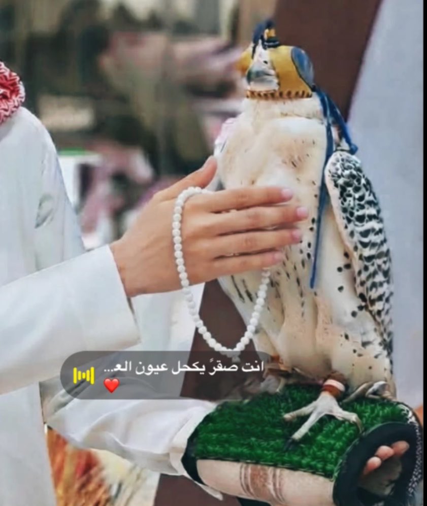MBq_f1's tweet photo. له بالهوى شف و مرام يلعب مع الغيمه سوى 
طيري ضرب جو الهيام ولو دعيته ما التوى https://t.co/7PaDEWZUYh