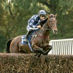 Photo by Fontwell Park (@FontwellPark)