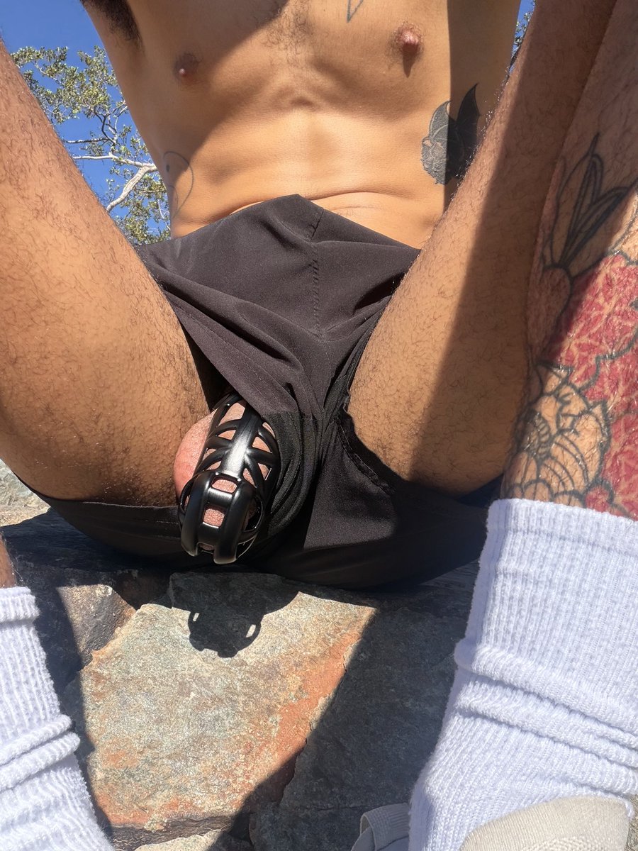 haunted_homo's tweet photo. Cage check! #locktober https://t.co/NMM4rnYj92