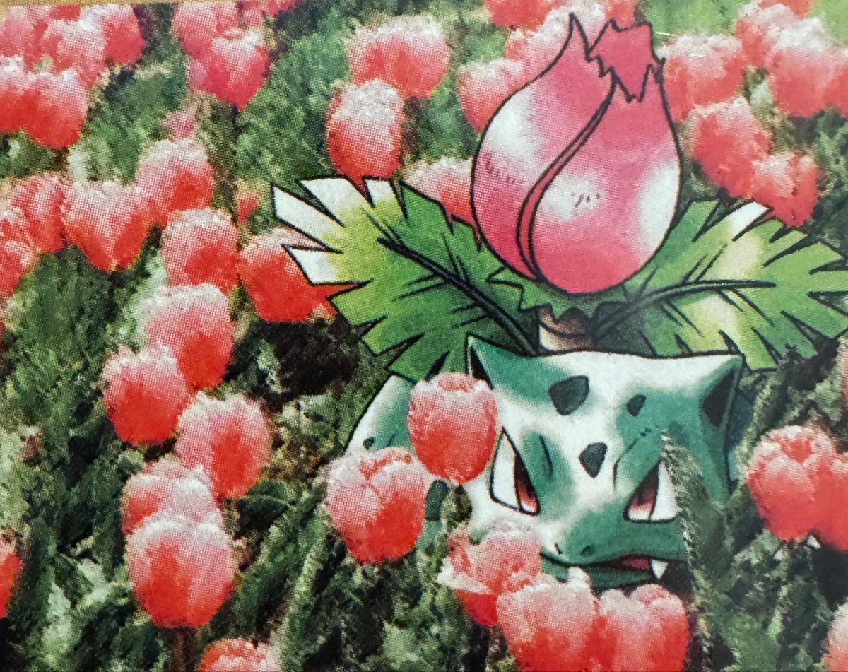TeamPokeColors's tweet photo. I need more 1st editions! https://t.co/Ke1O3roADn