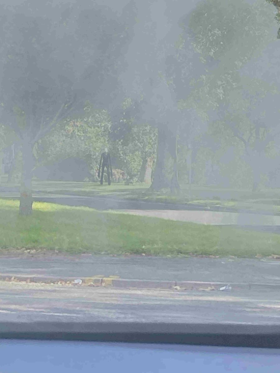 TwoTailedFuck's tweet photo. Its so foggy
#SlenderMan https://t.co/mGme8syMyS