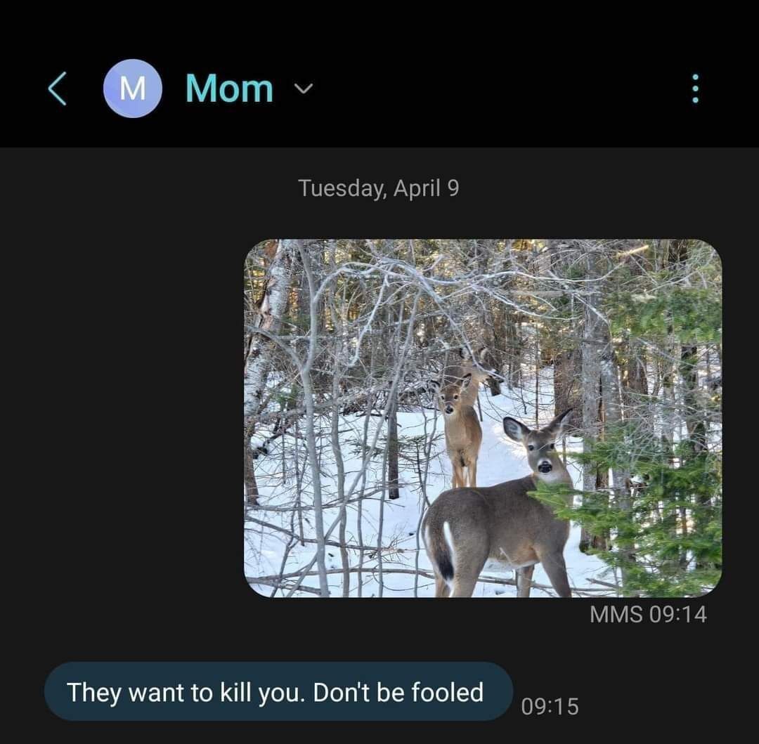 deershouldnt's tweet photo. Don't be fooled. https://t.co/etKWgjDYXw
