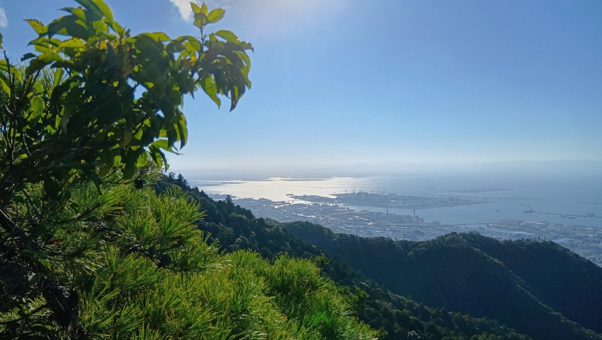 halxyzon's tweet photo. 昨日の山歩き、10.7km  5h12m 登り738m/下り732m 23170歩。渡り蝶と言われるアサギマダラもう来てるかなと思って探してみたけど、アサギマダラが寄って来るフジバカマがまだ全然咲いておらず一頭もいなかった。昨年は10/11に写真撮ってたけど、今年は少し遅くて再来週くらいかな。 https://t.co/gjB9p9hu8r