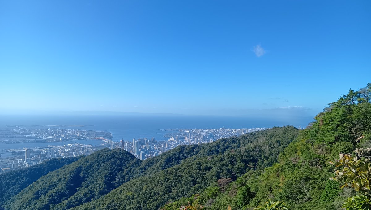 halxyzon's tweet photo. 昨日の山歩き、10.7km  5h12m 登り738m/下り732m 23170歩。渡り蝶と言われるアサギマダラもう来てるかなと思って探してみたけど、アサギマダラが寄って来るフジバカマがまだ全然咲いておらず一頭もいなかった。昨年は10/11に写真撮ってたけど、今年は少し遅くて再来週くらいかな。 https://t.co/gjB9p9hu8r