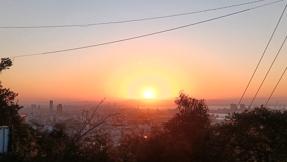 halxyzon's tweet photo. 昨日の山歩き、10.7km  5h12m 登り738m/下り732m 23170歩。渡り蝶と言われるアサギマダラもう来てるかなと思って探してみたけど、アサギマダラが寄って来るフジバカマがまだ全然咲いておらず一頭もいなかった。昨年は10/11に写真撮ってたけど、今年は少し遅くて再来週くらいかな。 https://t.co/gjB9p9hu8r