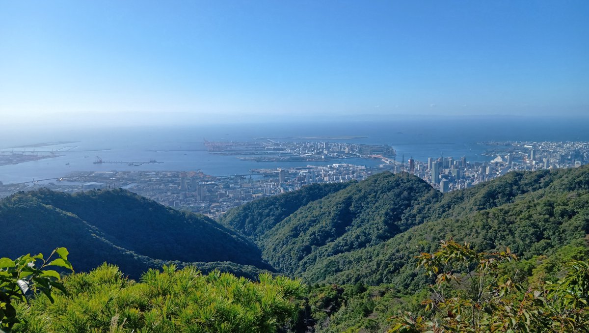 halxyzon's tweet photo. 昨日の山歩き、10.7km  5h12m 登り738m/下り732m 23170歩。渡り蝶と言われるアサギマダラもう来てるかなと思って探してみたけど、アサギマダラが寄って来るフジバカマがまだ全然咲いておらず一頭もいなかった。昨年は10/11に写真撮ってたけど、今年は少し遅くて再来週くらいかな。 https://t.co/gjB9p9hu8r