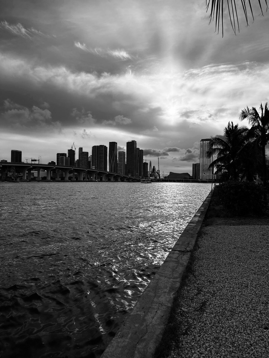 susann963's tweet photo. Today’s Challenge: BLACK &amp; WHITE

No colors.
No rules.
Just your view in shades of light and shadow.
Where’s yours? https://t.co/GAA9QHbpCR