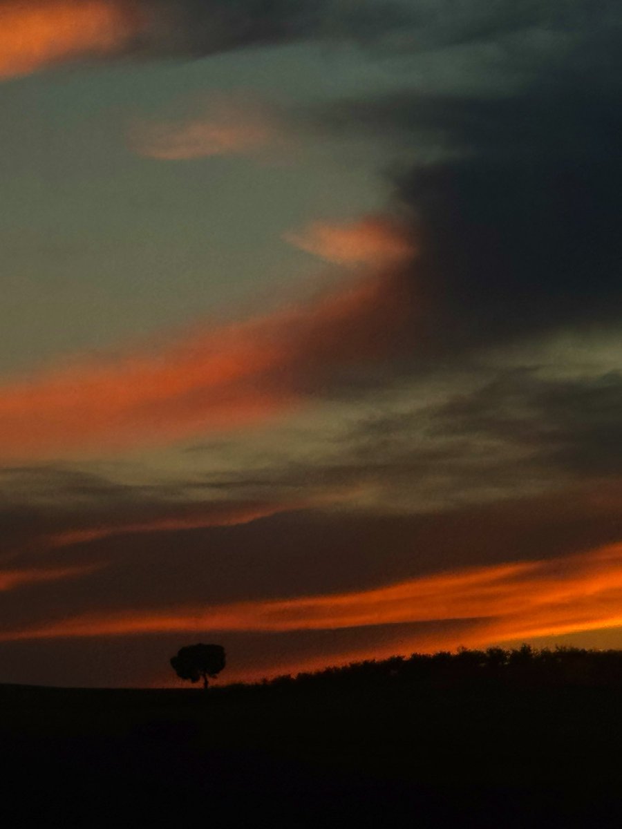Aire_tiempo's tweet photo. Atardece 🧡✨ https://t.co/156aQElrLr