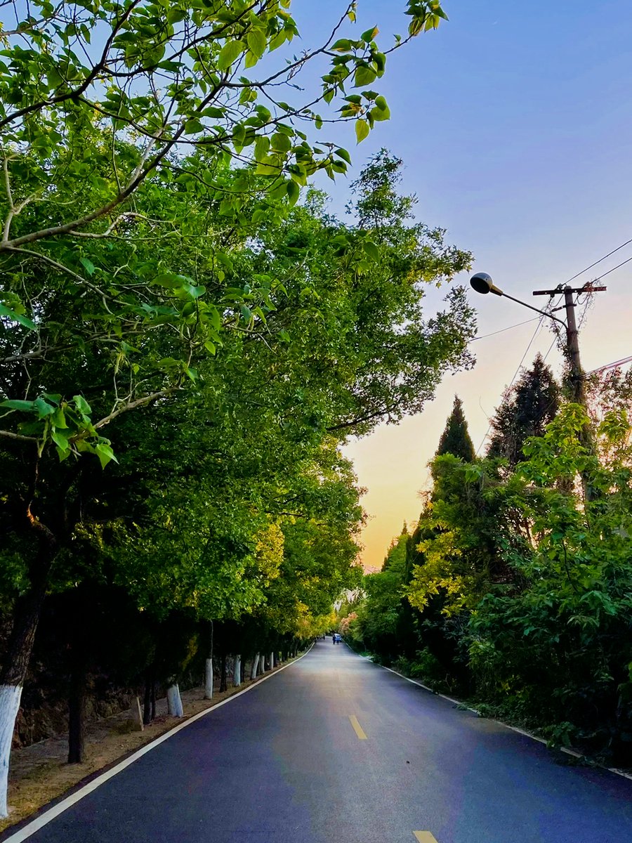 glady_sclar_25's tweet photo. "My eyes are tired, my stomach feels bloated, I went to the woods, tripped over a branch, and accidentally knocked over a fan while fumbling in the dark #RandomVibes"， https://t.co/kd4SSOCliL