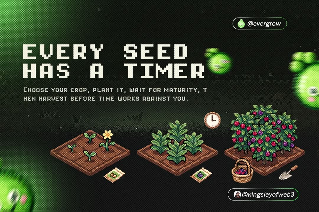 Onyifundzofweb3's tweet photo. ➥ SEEDS, PLANTING & HARVESTING

This is where the strategy begins.

Evergrow has different seeds with different maturity times.

For example:

▪︎ Sunbud  1 hour
▪︎ Clover  12 hours
▪︎ Berrybud  24 hours

You choose a seed, plant it in your plot, then wait for it to mature.

But there’s a catch

Seeds have daily global limits.

So you're not playing in an unlimited market where everyone can simply buy as many seeds as they want.

Availability becomes part of the game.

And once your crop is ready, you need to harvest it. Leave it too long and it can become over ripe, reducing what you receive from that cycle.

So farming isn't completely passive.

Timing matters.