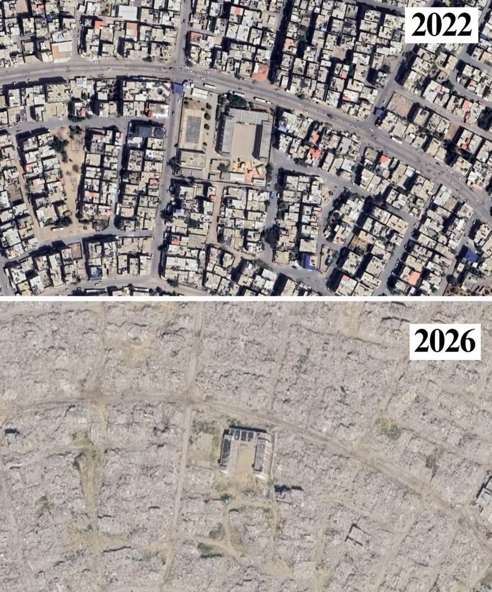 MacaesBruno's tweet photo. Even the trees were Hamas https://t.co/xK5fHwBZvm