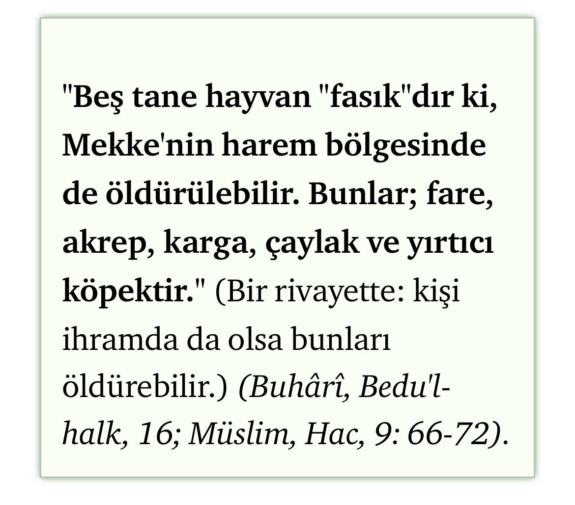 Dex_2240's tweet photo. Allahsız kitapsız solcu itperest karı başıboş itleri savunmak için hadis paylaşmış 🤣

O zaman bir tane de ben paylaşayım: https://t.co/o8iTT9apQQ