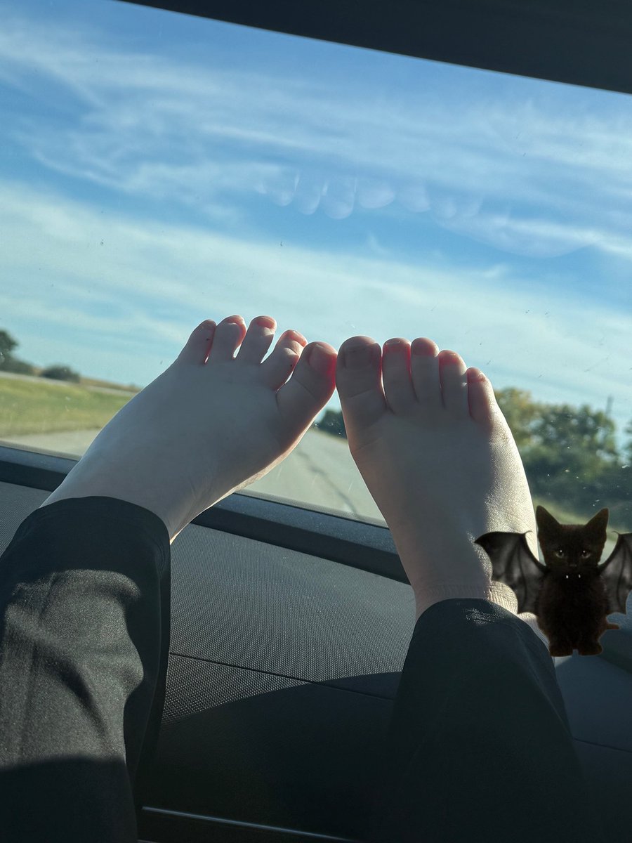 felinef33t's tweet photo. If only i could get my toes done:(

#feet #footfetish #sellingcontent #feetfetıshly #feetfetısh https://t.co/X0k3ICveoJ