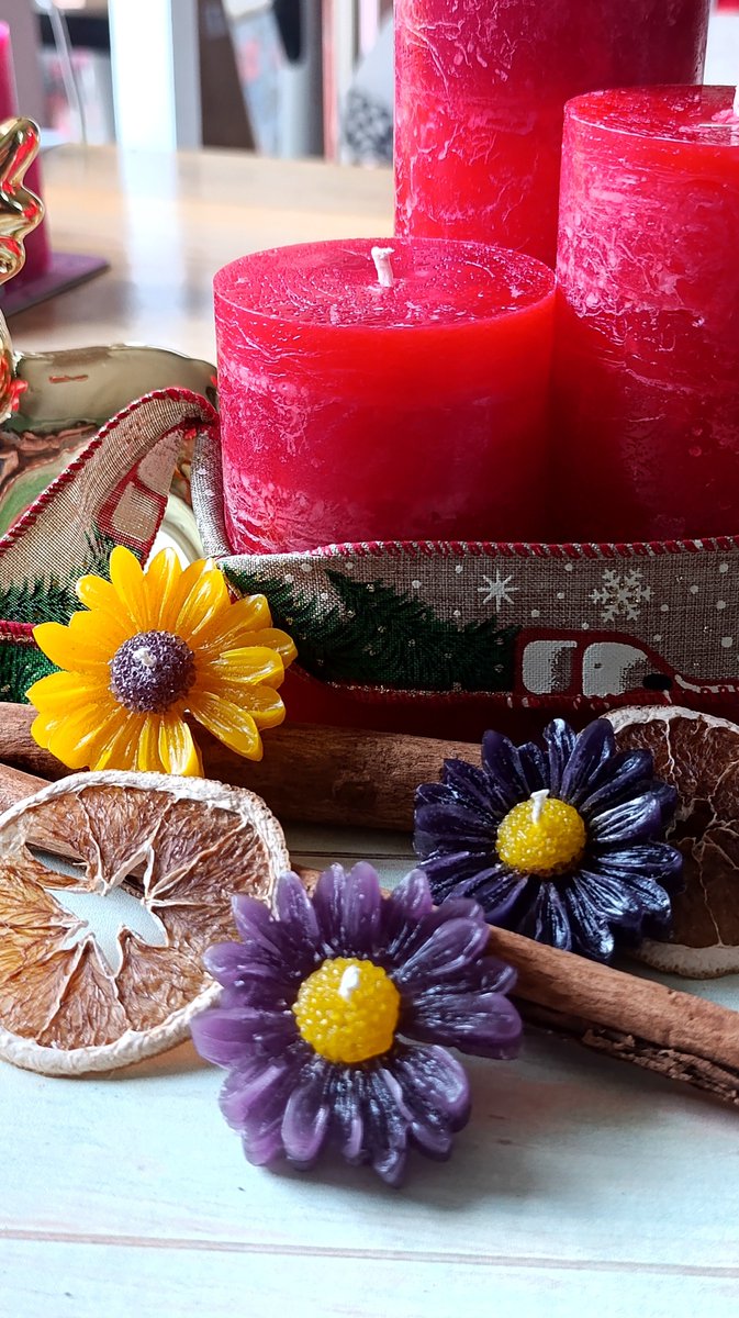 ElaineCandles's tweet photo. Mis primeras velas de navidad de este año !!! Están en proceso pq aún me falta la decoración de las velas.
Pero acá le hice unas fotos con las margaritas que estoy haciendo igual. https://t.co/XR8Bpfdq1C