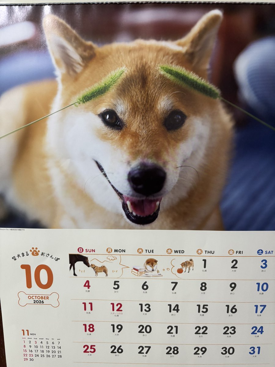 alak8219's tweet photo. ここ数年 ずっとこのカレンダー買ってる🐕 ͗ ͗ https://t.co/DBxOuzB5o6