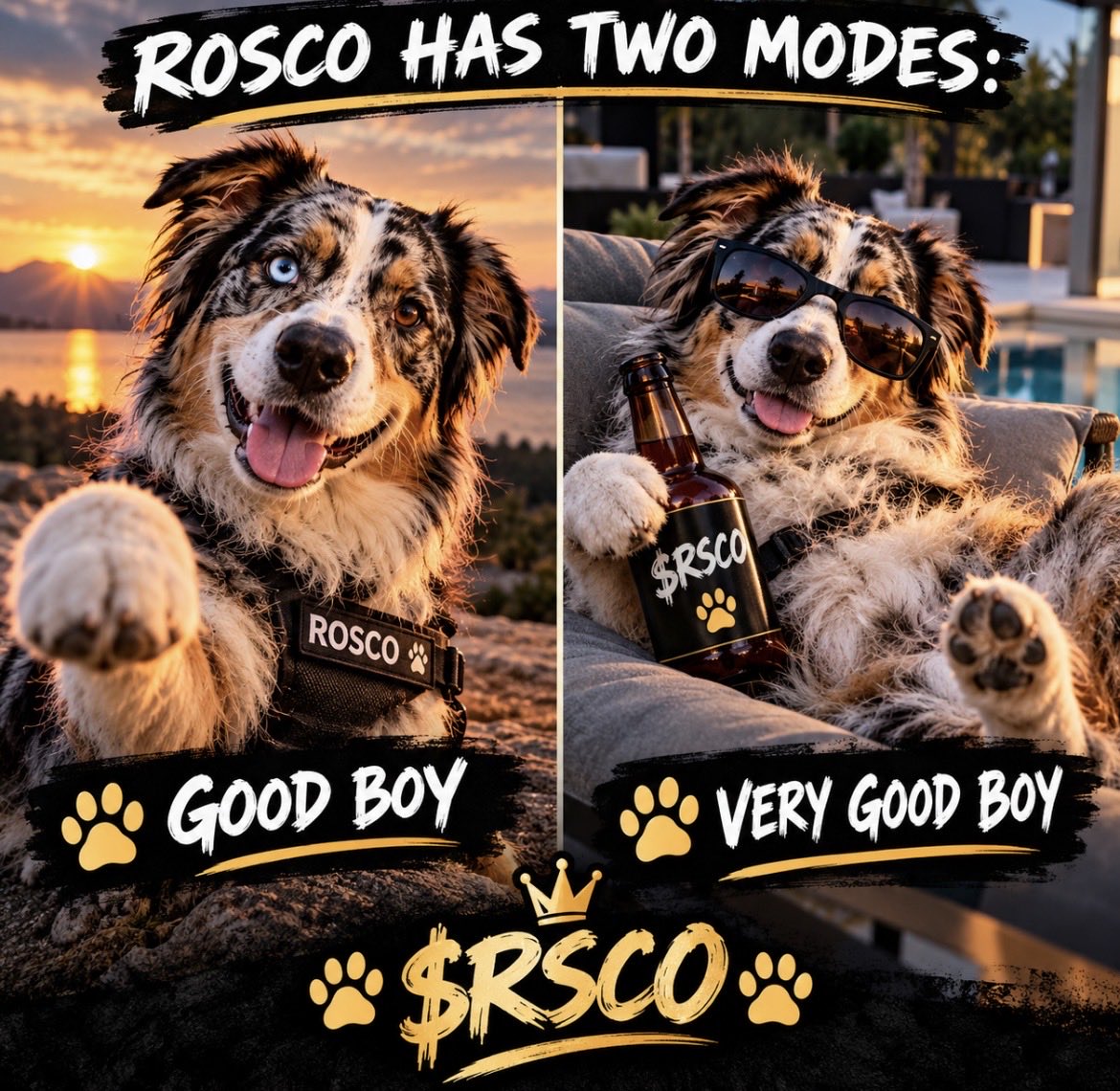 RscoCoin's tweet photo. Rosco has two modes:

🐕 Good boy
🐕 Very good boy

There is no third option.

$RSCO 🐾

#Solana #Memecoin #Crypto https://t.co/wLZt2OwYGu