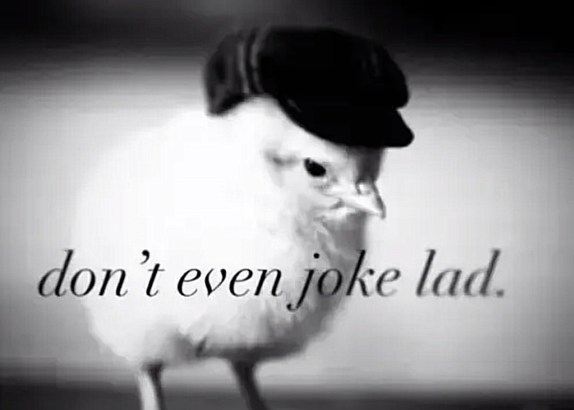 11jareau's tweet photo. being an og james acaster fan seeing tiktoks about him on traitors https://t.co/60BhW8CQMG