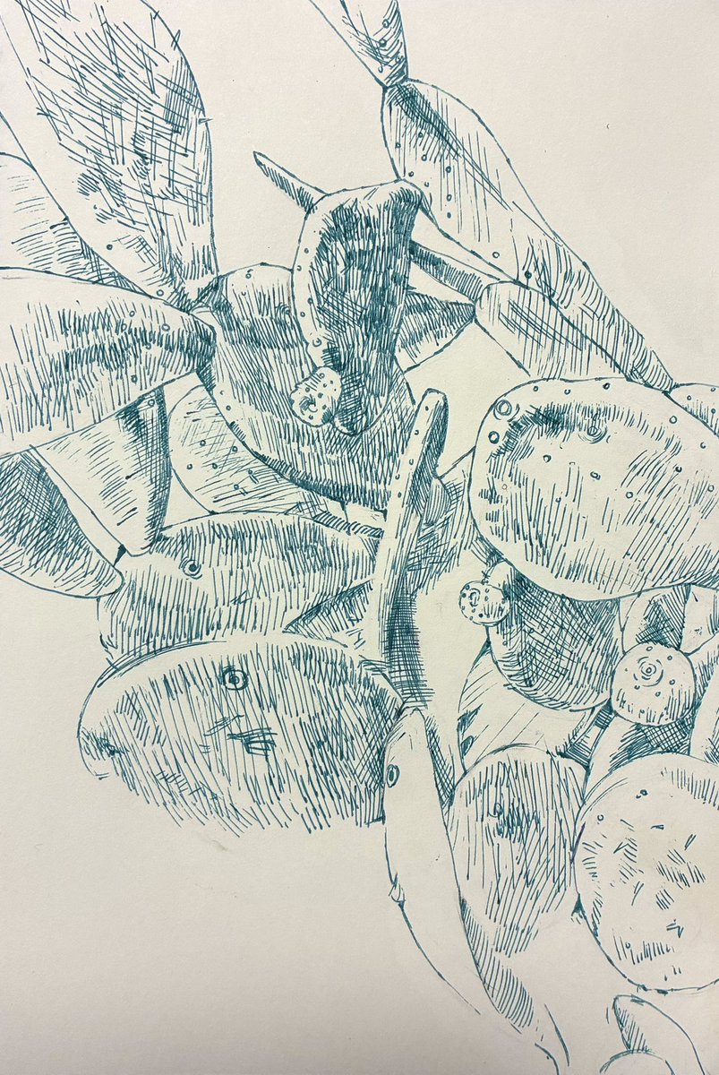 takeoheya's tweet photo. Day4:Cactus
#inktober2026 #インクトーバー2026 https://t.co/Rr32YxtN6V