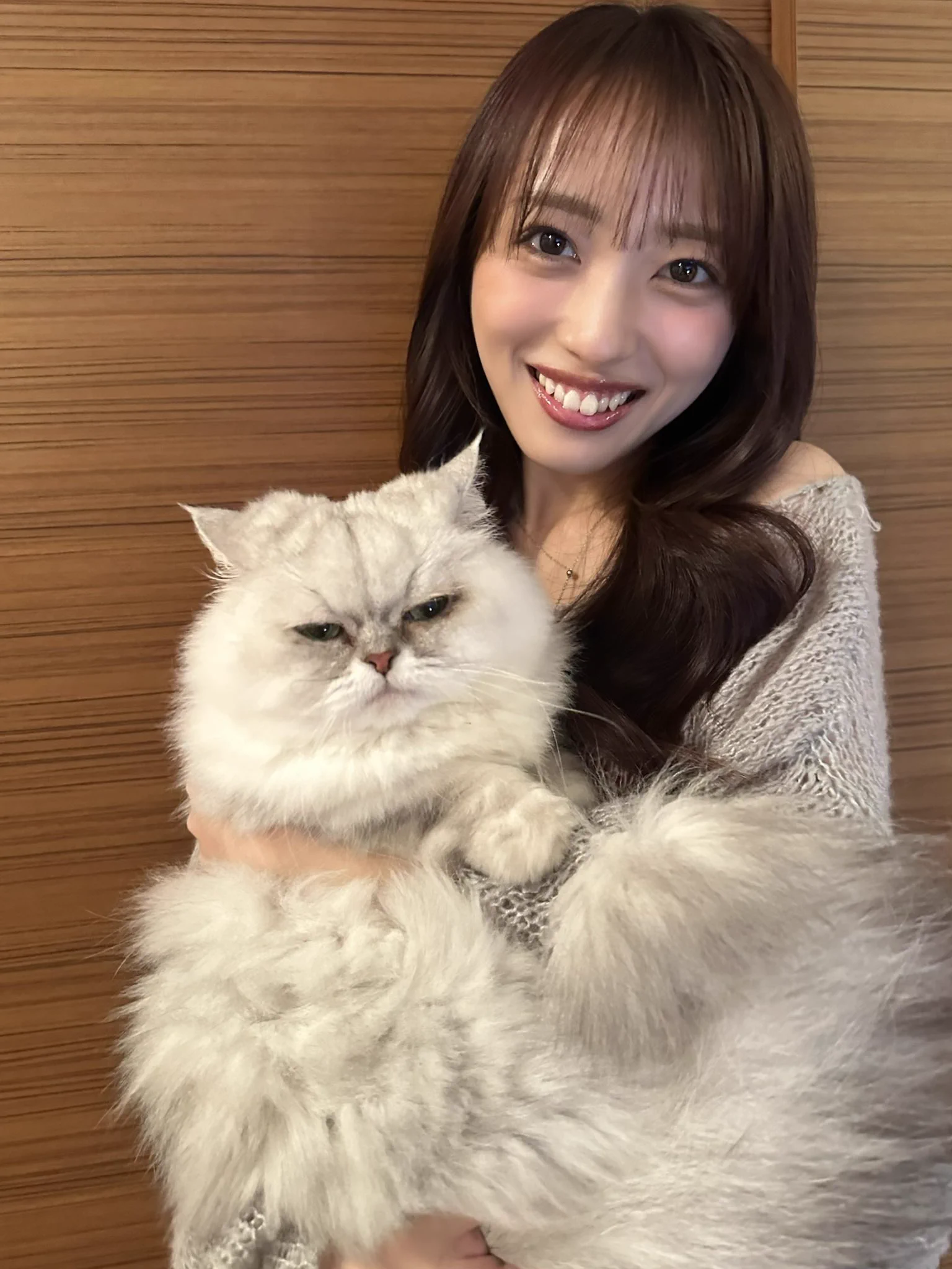 ゆうくん(ゆうすけ) on X: 
